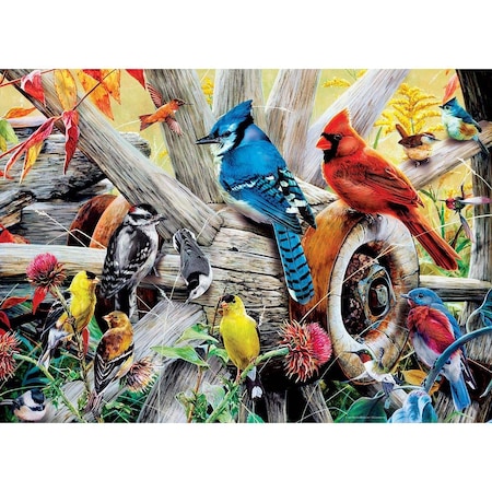 Audubon Audubon 31978 Audubon Backyard Birds Puzzle - 1000 Piece 31978